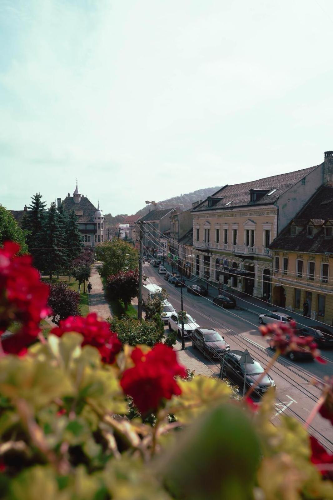 Hotel Pensiunea Gasthaus Alte Post Sighişoara Exterior foto